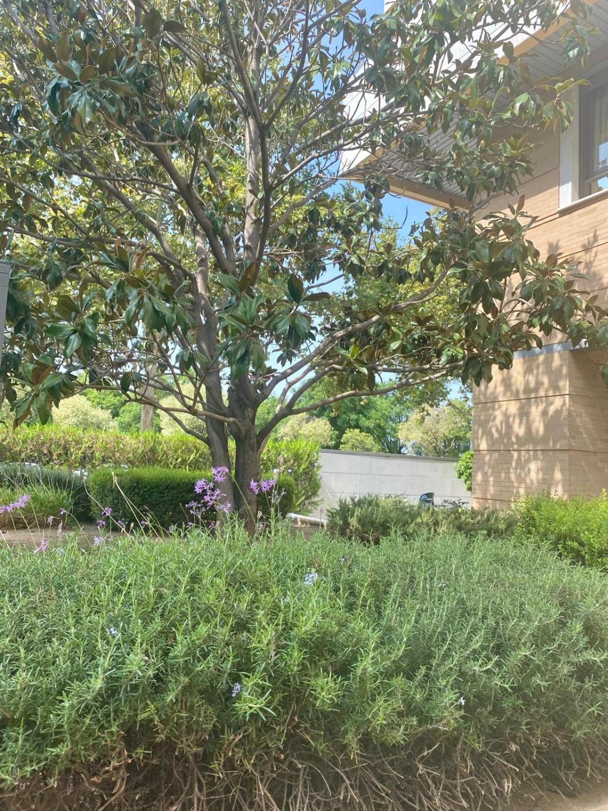 Apartmán Tu Oasis De Lujo Junto Al Guadalquivir Sevilla Exteriér fotografie
